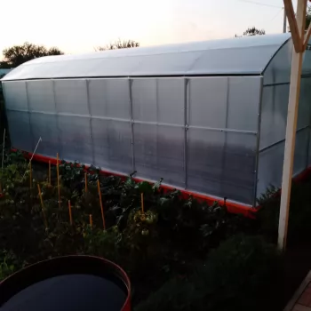 Отзыв о нашей теплицe от Константин